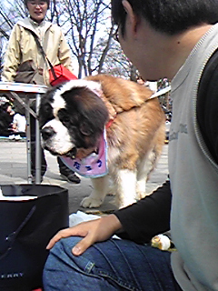 a0019322_22325317.jpg