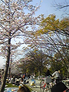 a0019322_22325397.jpg
