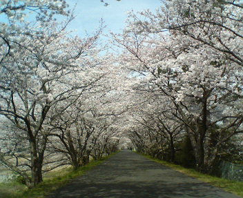 f0036223_2164996.jpg