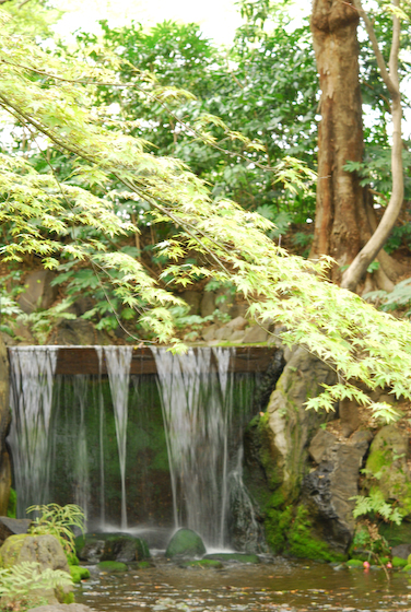 b0140724_2332060.jpg