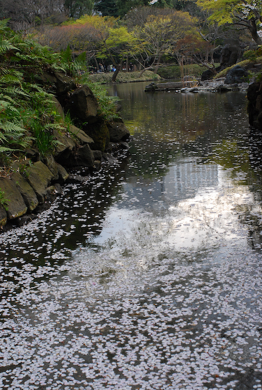 b0140724_23352380.jpg