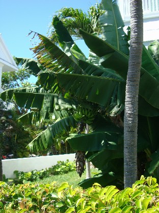 f0006724_11285461.jpg