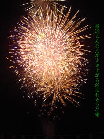 d0042827_1535491.jpg