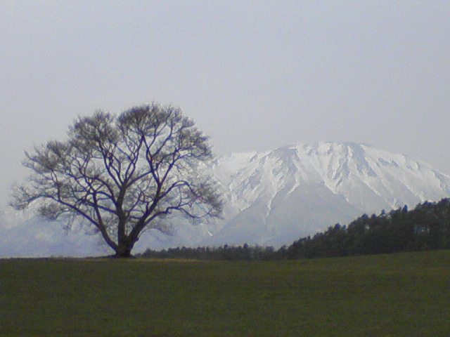 e0047928_20405715.jpg