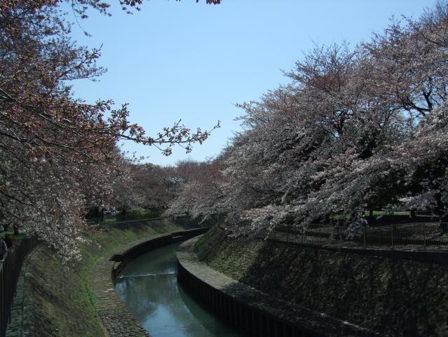 f0055228_18333462.jpg