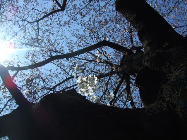 f0055228_18341527.jpg