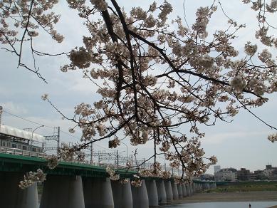f0045530_223924.jpg