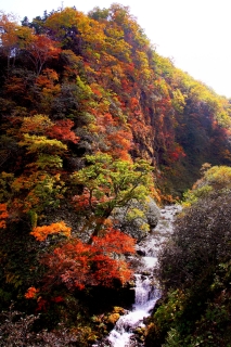f0053130_2125740.jpg