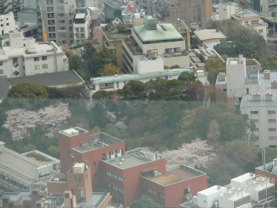 f0132230_10185487.jpg