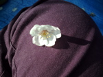 f0165831_9225866.jpg