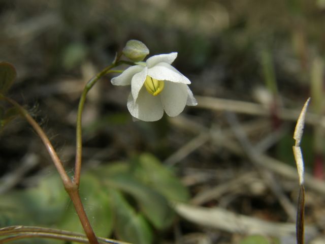 e0145033_20172725.jpg
