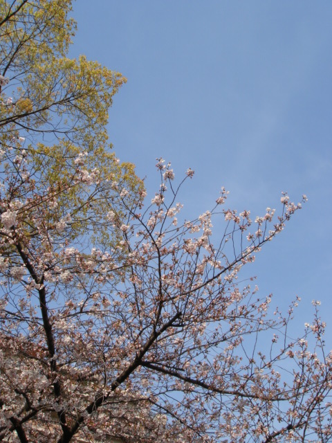 c0100534_2215632.jpg