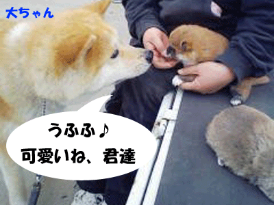 f0008935_433473.gif