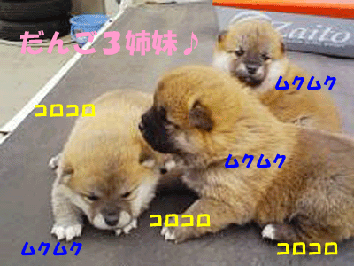 f0008935_441755.gif