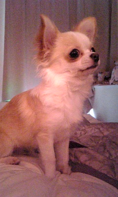 f0068735_2213658.jpg