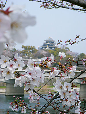 c0069036_13585142.jpg