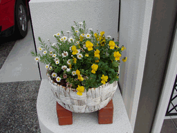 c0136736_23132838.gif