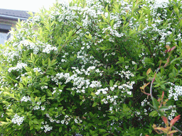 c0136736_23152992.gif