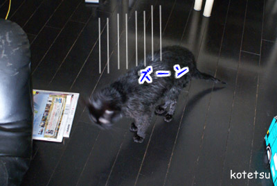 c0132438_20531158.jpg