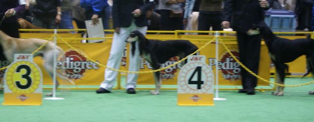 f0039538_214639.jpg