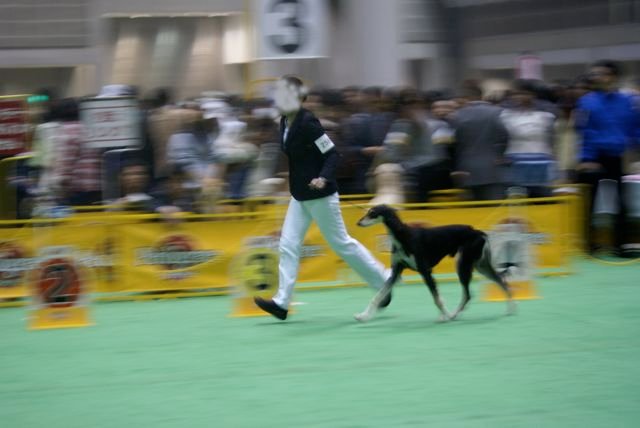 f0039538_215598.jpg