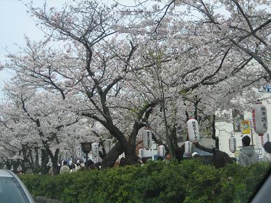 b0086939_2026228.jpg