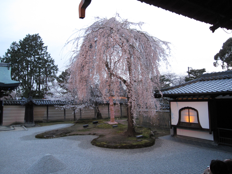 a0060141_21562371.jpg