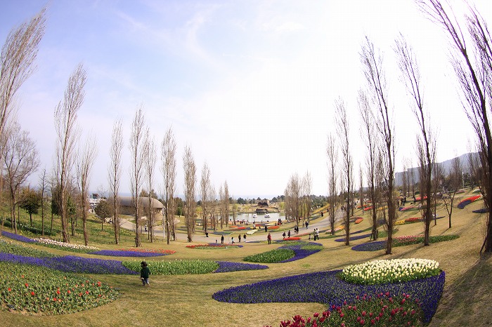 b0168041_2217335.jpg