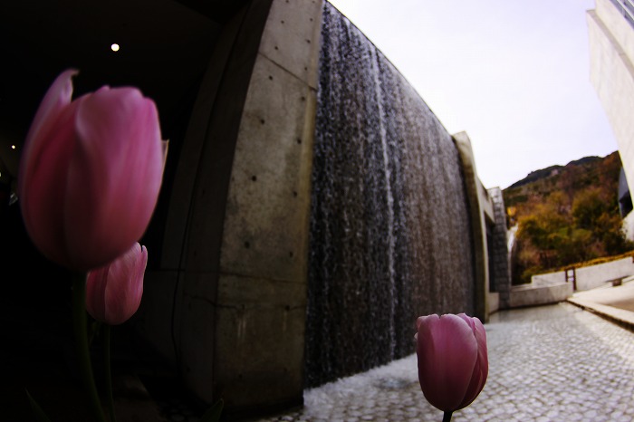 b0168041_22242330.jpg