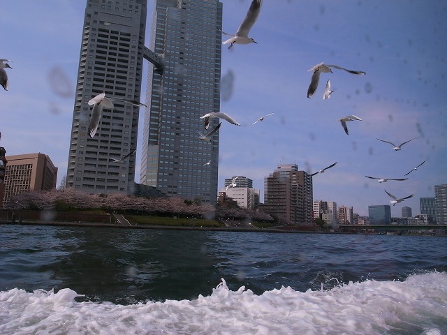 a0009142_21441449.jpg