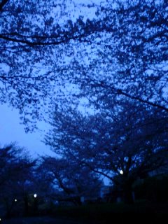 a0051443_1071548.jpg