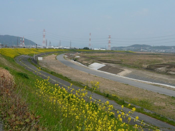 f0057944_23527100.jpg