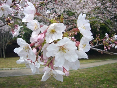 e0100046_16255051.jpg
