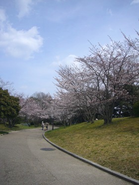 e0100046_162942.jpg