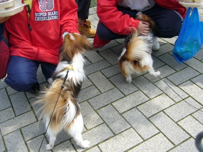 e0100046_16311448.jpg