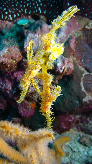 e0027447_23203450.jpg