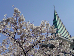 e0005548_1521757.jpg