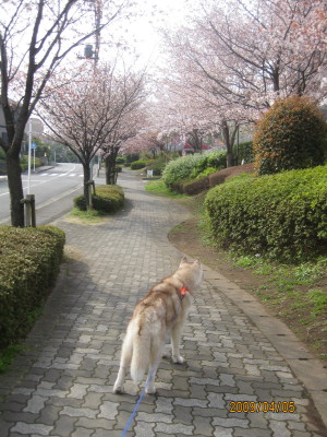 e0121548_1611564.jpg