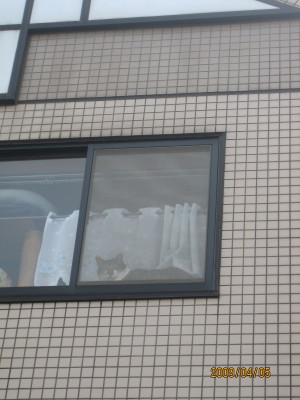 e0121548_16255343.jpg