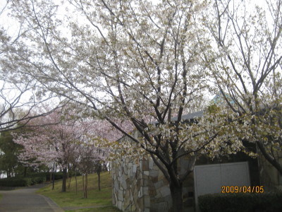 e0121548_164288.jpg