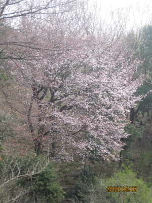e0121548_166110.jpg
