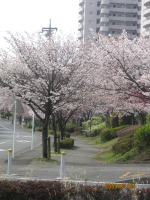 e0121548_168482.jpg
