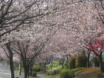 e0121548_1691129.jpg