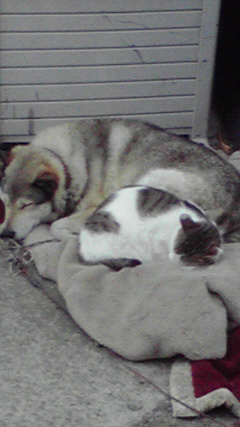 e0150849_1021029.jpg