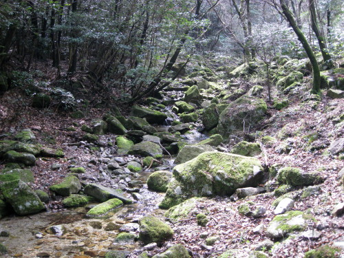 c0179351_20401261.jpg