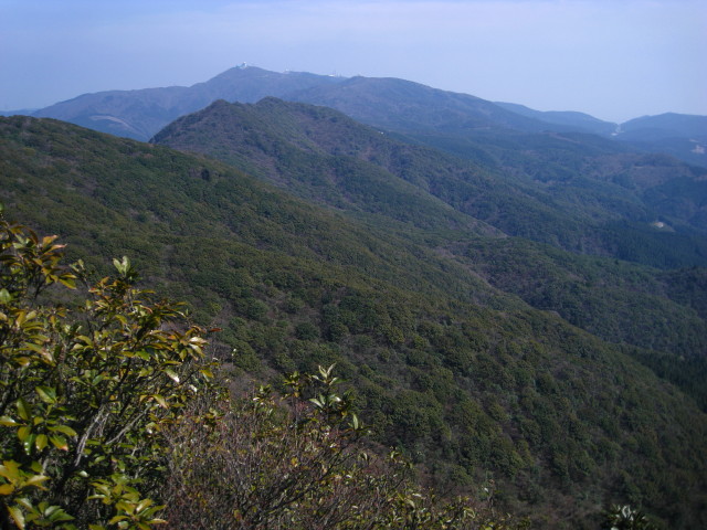 c0179351_20572535.jpg