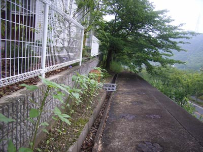 f0115851_18344349.jpg