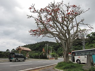 d0031853_145423.jpg