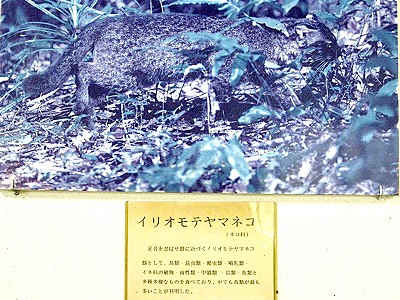 d0031853_1532156.jpg