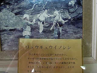 d0031853_1535930.jpg